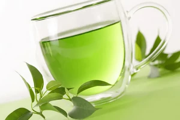 تصویر 5 از قیمت خرید چای سبز خشک شده با فروش عمده